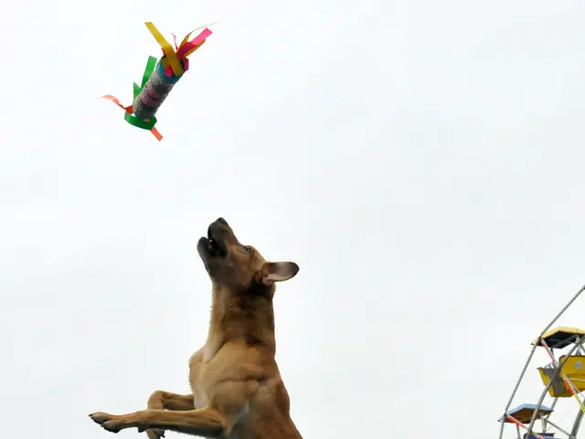 Remote-controlled robotic dogs maintain wind turbines in an unmanned desert wind farm in China.