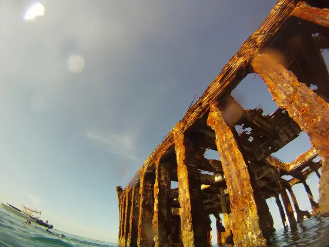 Anti-theft, cybercrime, and drug trafficking countermeasure for storage containers