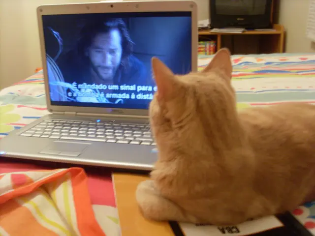 AI-enabled Catlog collar alerts you when your feline friend exhibits signs of stress