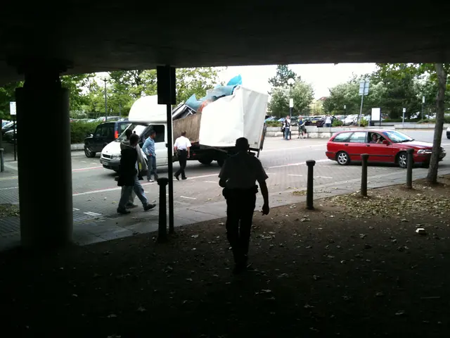 UAE to power 'Falcon Rise' with Swedish Einride's electric vehicles