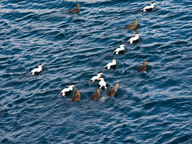 Data storage on a bird is now possible with an avian-themed innovation: a data scientist transforms...