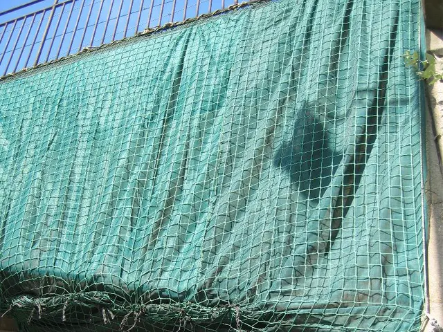 Cross-border currency exchanges facilitated by blockchain technology through Corpay's operations...