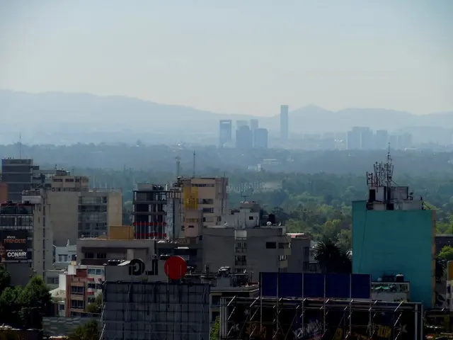 The enigma surrounding the decryption of the Indus Valley script continues unsolved.