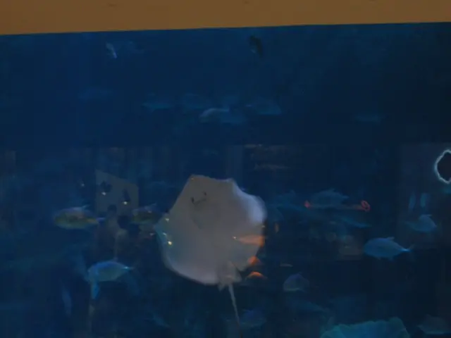 Centrifugal Submersible Pumps from AquaIllumination are now up for grabs!