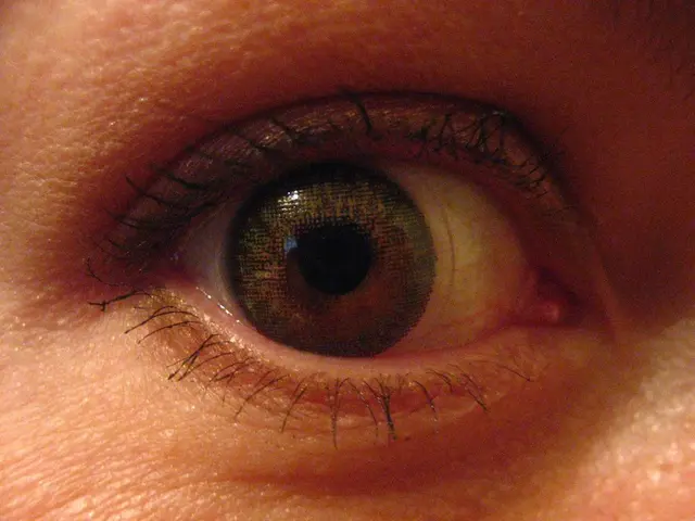 The precision of webcam-based eye tracking: an examination.