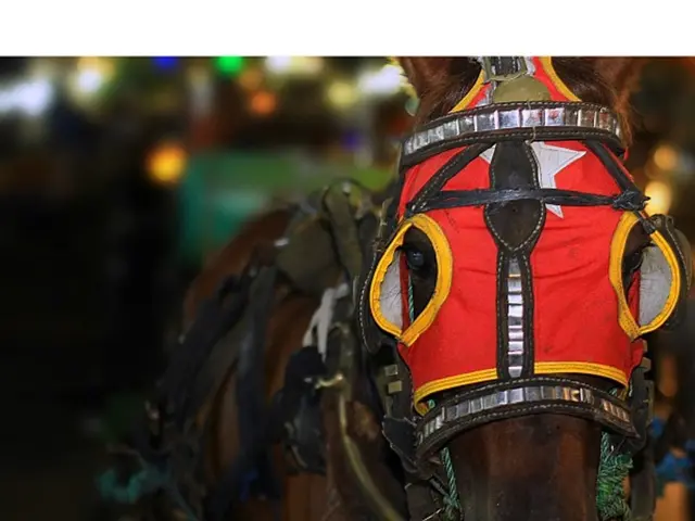 Domain Belonging Exclusively to Them: A Description