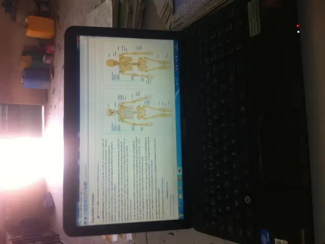 Experimented with the Dynabook Tecra A60-M laptop, and it appears to lack sufficient power