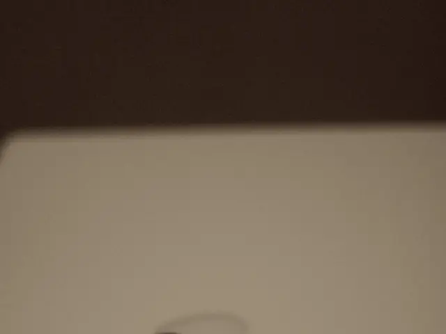 Multiple Variants of Chrome: An Examination of the Reasons Behind Its Multiplicity