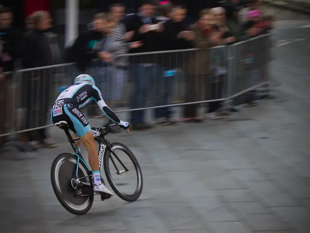 Insight into Instant Actuary Cost Estimation Practices for Insurance Companies