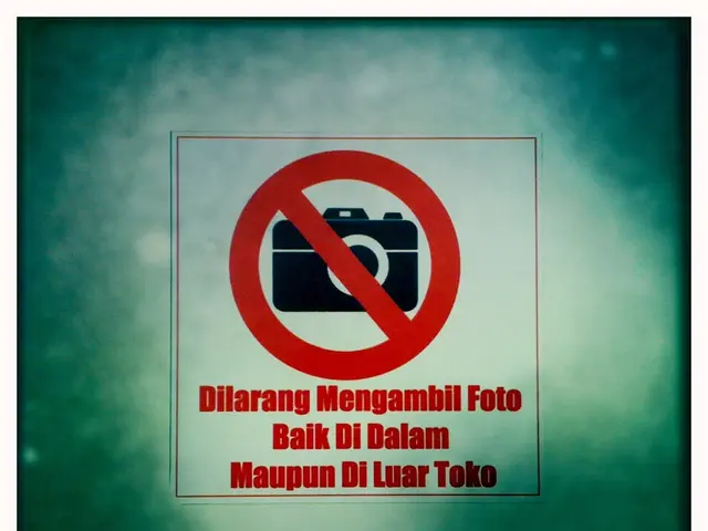 Anticipation: Nvidia Shares Expected to Soar Post August 27th