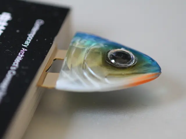 Unveiling the Basics of Turbo Duck