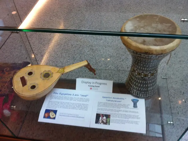 Unveiling the Austrian carpenter developing an intelligent flute case to protect valuable...