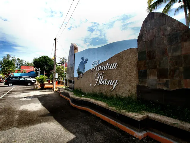 Elon Musk's Impossible Crossroad: A Pivotal Decision Looming