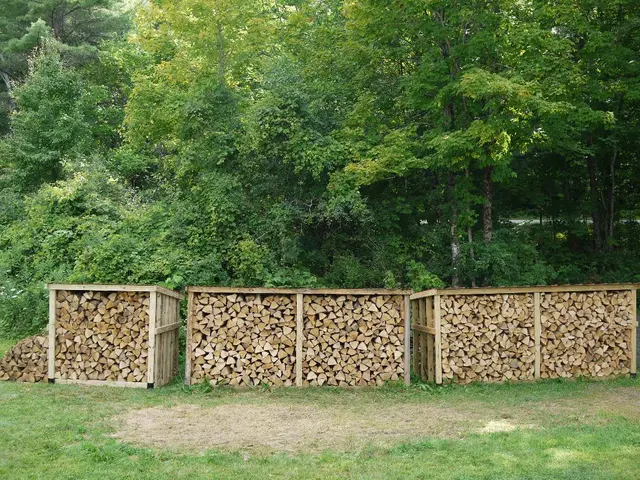 Software Dispensation: Implementing the Software Inventory Logging System