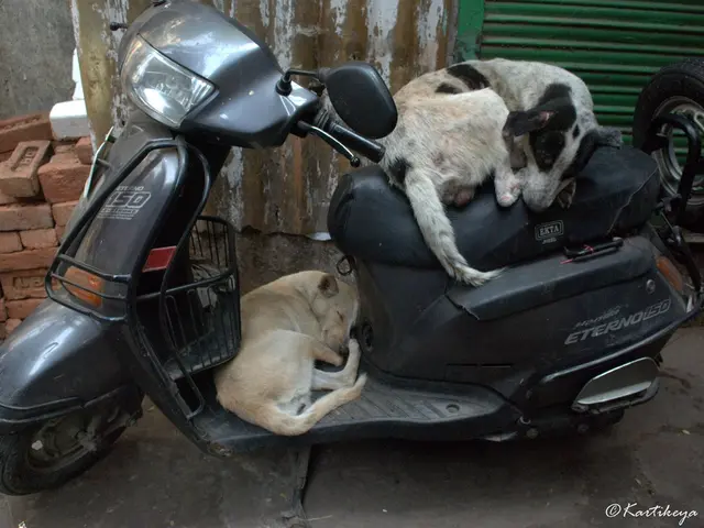 Garage Fire: Likely Result of Faulty E-Scooter, Affecting Minors