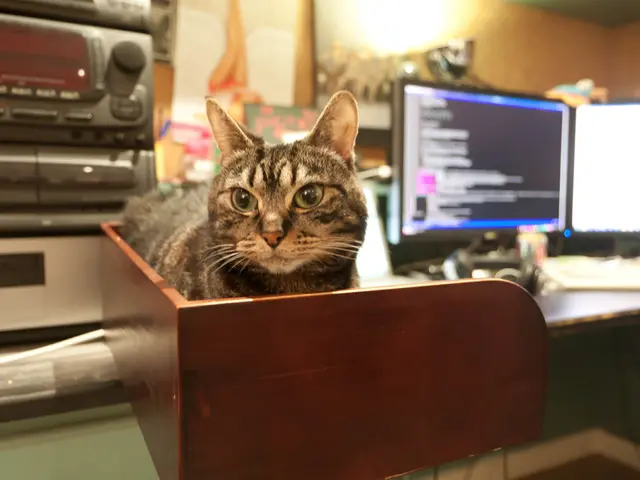 Ransomware attacks are being driven by hand methods, according to CrowdStrike's assertion