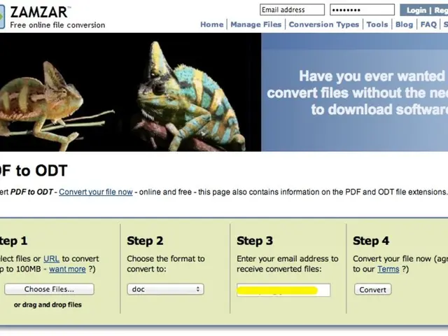 Who has control over a domain name?