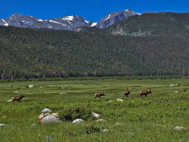 Martian Exploration Vehicle: Comprehensive Description & Analysis - Space Terminology Reference