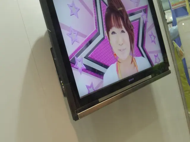 Broadcasts on radio and television are suspended until 17:00