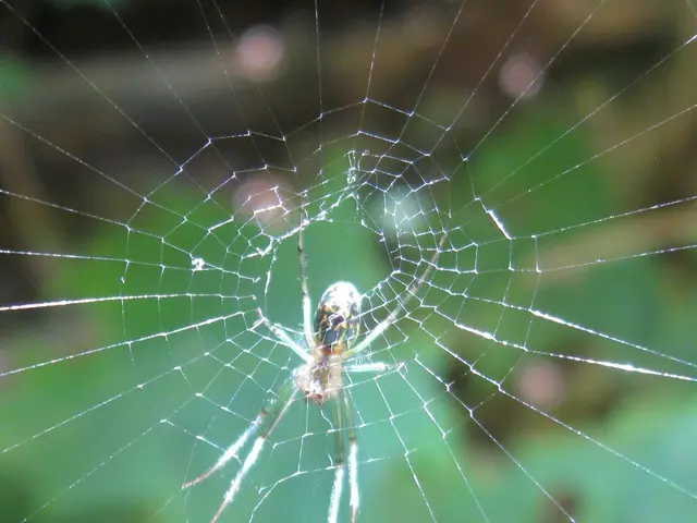 New Glitch Plagues Monster Hunter World: Developers at Capcom scramble to fix a fresh bug, the...