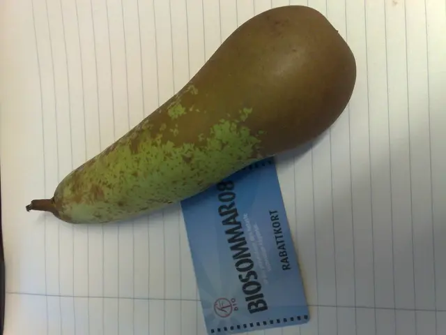 Enhancing the Security of Your Account on "Gosulshy"