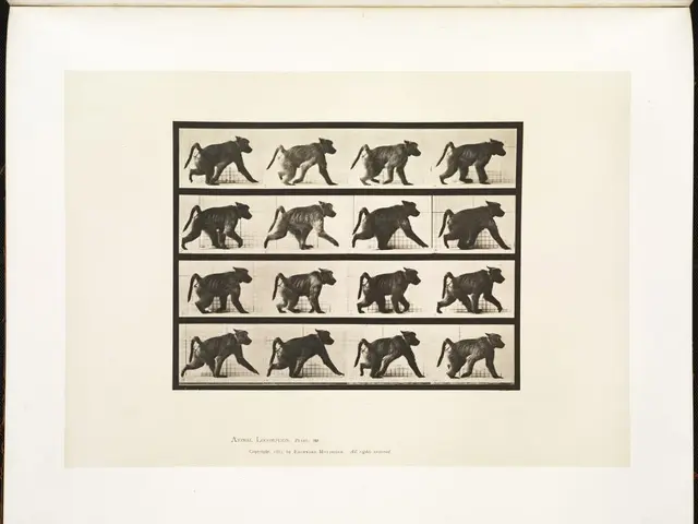 Large-scale Dogecoin (DOGE) investors ramp up activity: Potential for continuous price surge?