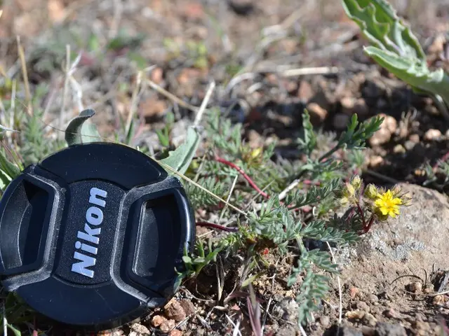 "Brings About Results"