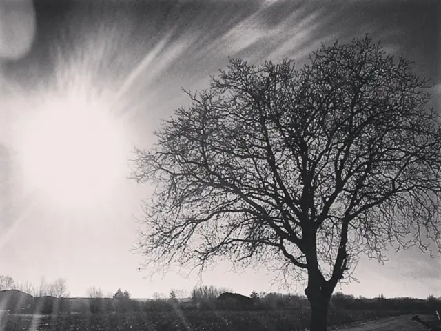 Biosphere Meaning and Comprehensive Exploration - Astrobiology Glossary Synopsis