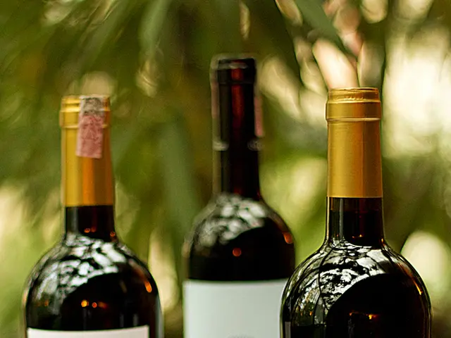 PacBio unveils plans for enhancing methylation identification within HiFi chemistry solutions