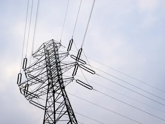 Network Software Integrating Sensor Network Technologies