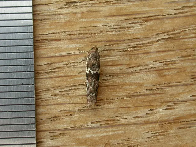 Uncovered Vulnerability in WordPress's LayerSlider Plugin: Prone to SQL Injections