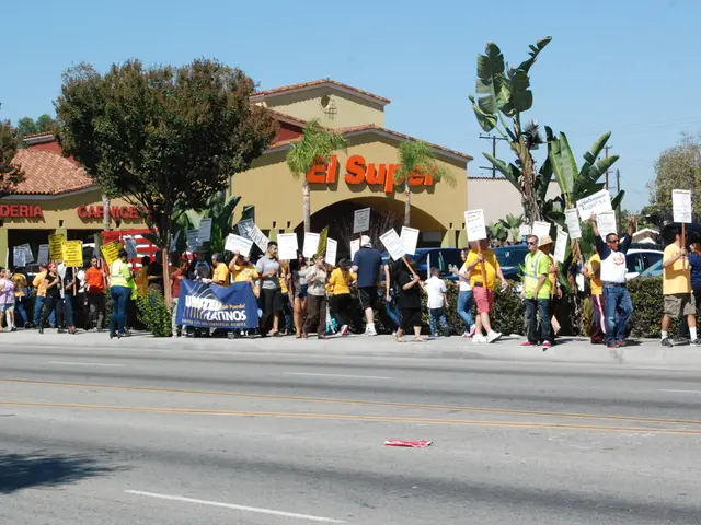 Political Campaign Essential Analytics Tools for Victory