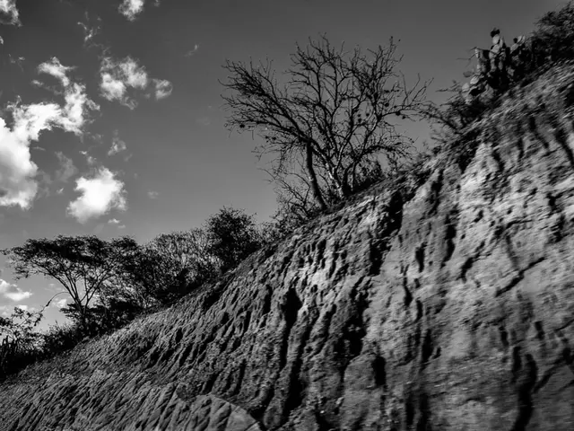 Transferring Pictures from Google Drive to Google Photos