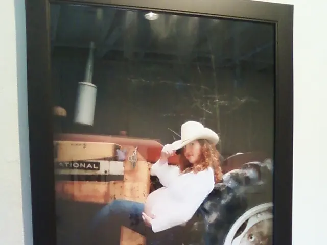 Guideline for capturing high-quality, AI-assisted portraits free of charge using Gemini: a detailed...