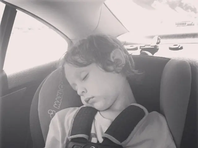 Leasing a car vs. obtaining a loan for vehicle purchases: a comparison