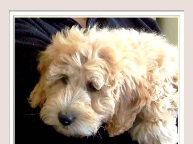 Surprising happenings with Dogecoin (DOGE)?