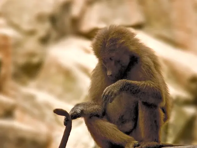 Rapid GBP transactions, both deposits and withdrawals, now available to Bitpanda UK users.