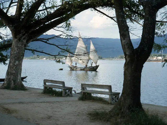In this picture I can see there are two trees, there are two benches, a river in the backdrop and...