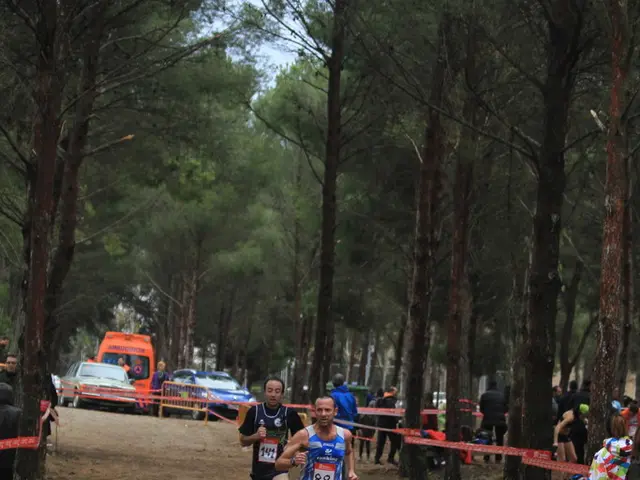 In this image we can see so many trees, some vehicles are parked, on fence, so many people are...