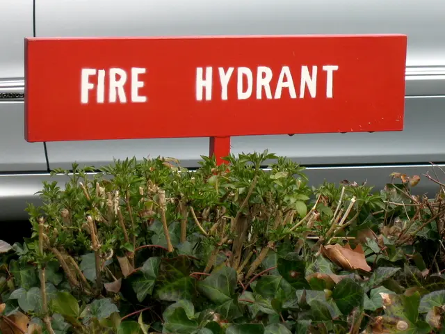 In this picture we can see some plants here, there is a red color board here, we can read fire...