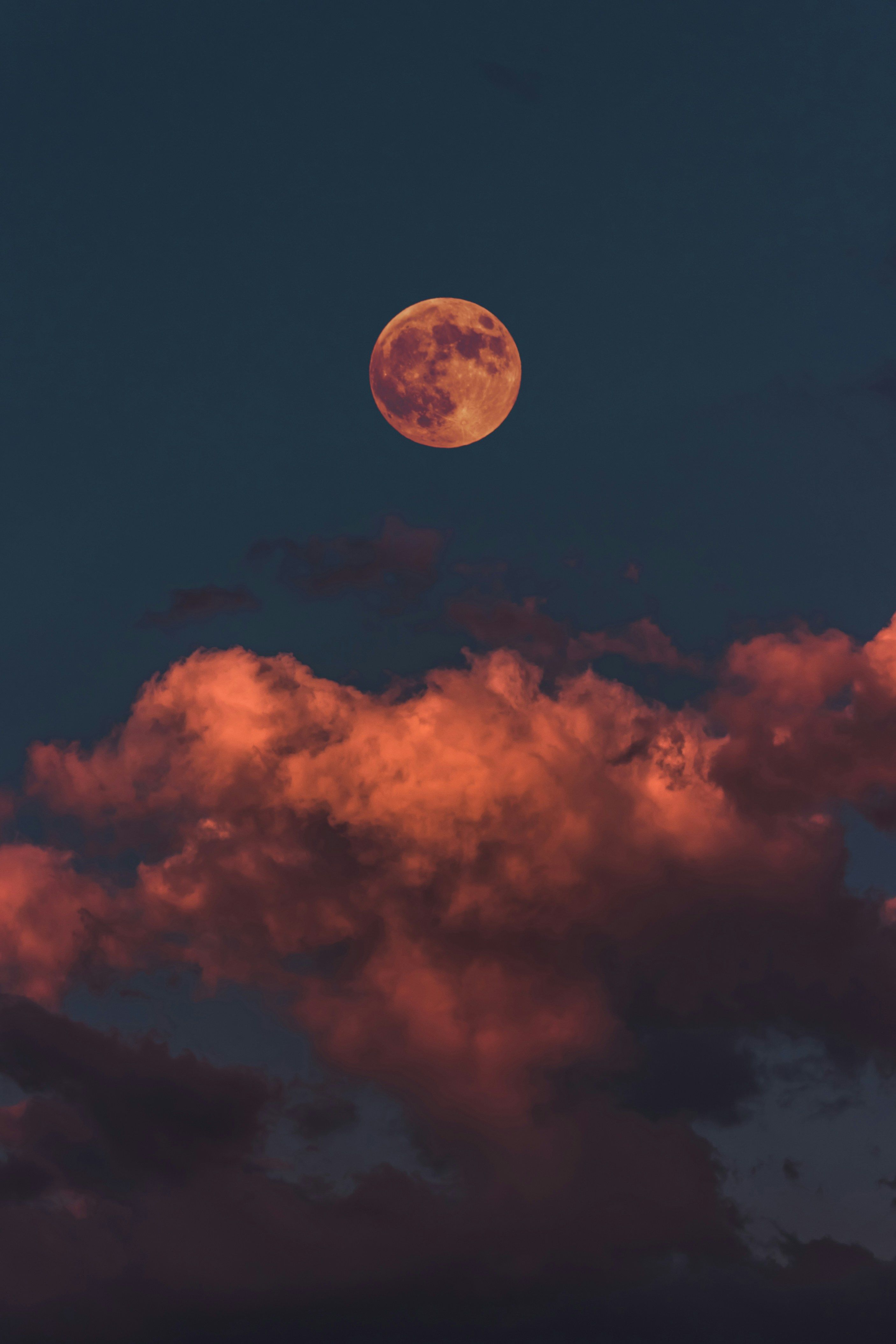 Bitcoin's ascent is being eyed by Hedera, mirroring a reduction in future activity. The digital coin encounters significant hurdles and the potential for either a breakout or a significant correction is on the table.